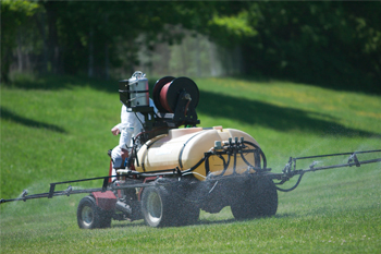 Lawn